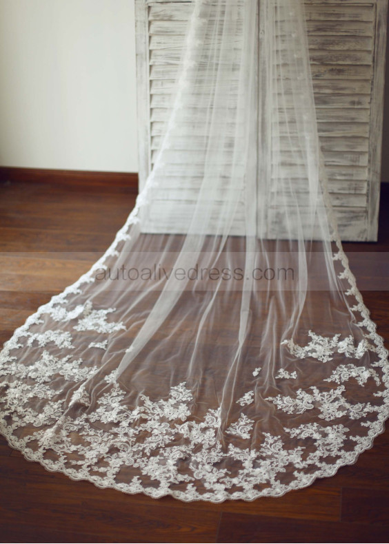 Beautiful Lace Tulle Bridal Wedding Veil